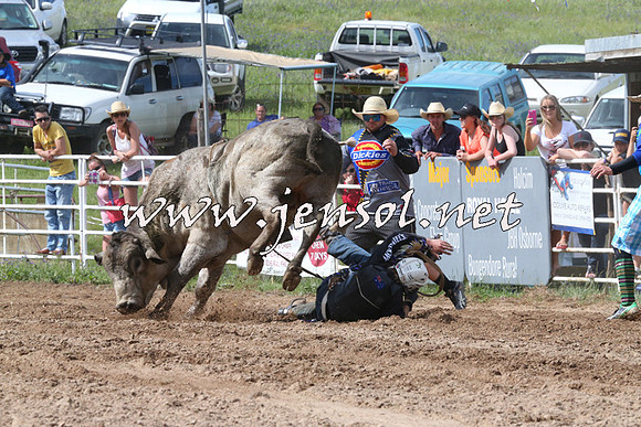 BungendoreRodeo2014_2226