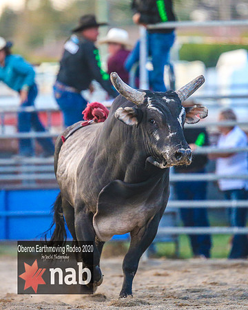 OberonRodeo2020_6898