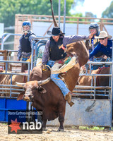 OberonRodeo2020_2018