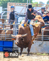 OberonRodeo2020_2019