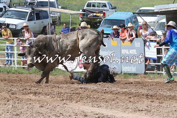 BungendoreRodeo2014_2227
