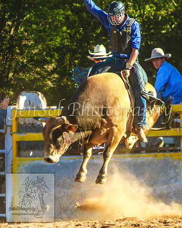 TaralgaRodeo2014_KJS_4817