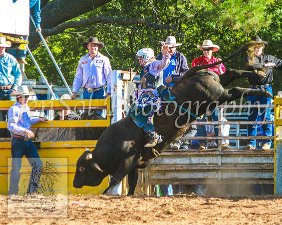 TaralgaRodeo2014_KJS_4753