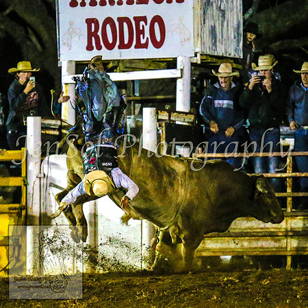 TaralgaRodeo2014_2718