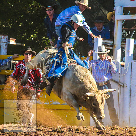 TaralgaRodeo2014_1500