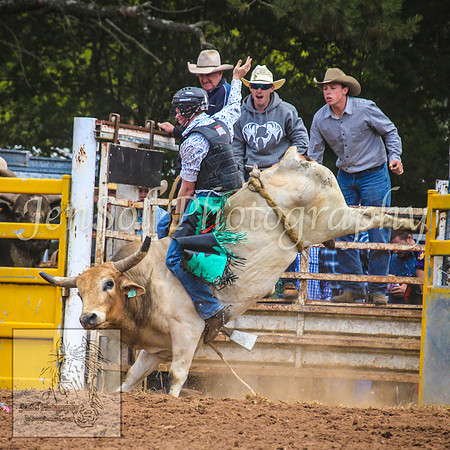 TaralgaRodeo2014_0452