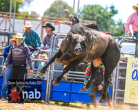 OberonRodeo2020_2253