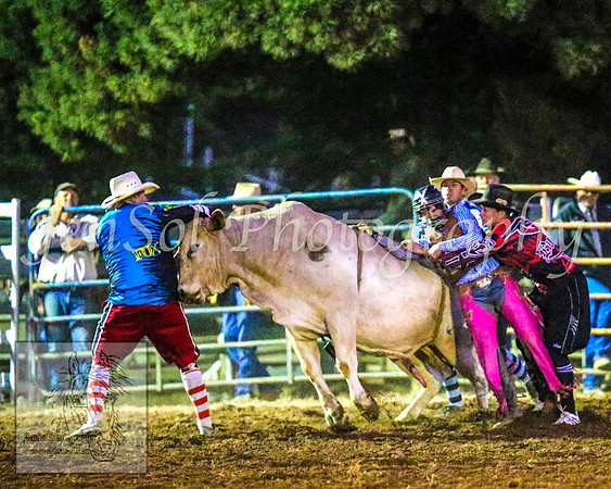 TaralgaRodeo2014_2311