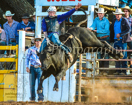 TaralgaRodeo2014_KJS_4837