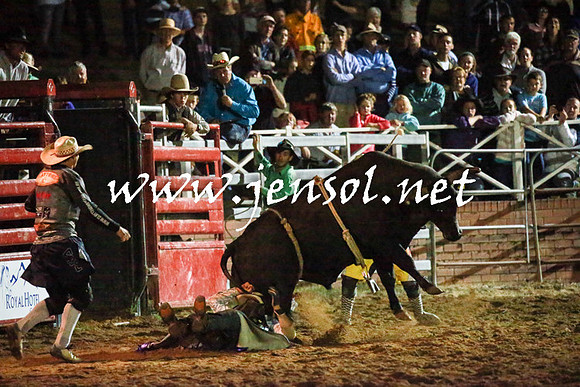 CoomaRodeo2016_3742