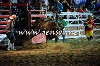 CoomaRodeo2016_3672