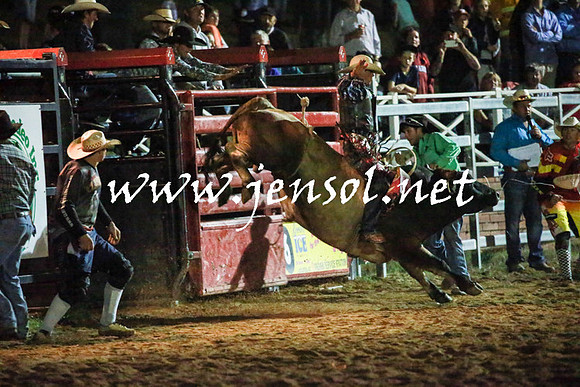 CoomaRodeo2016_3624
