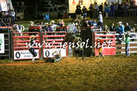 CoomaRodeo2016_0435