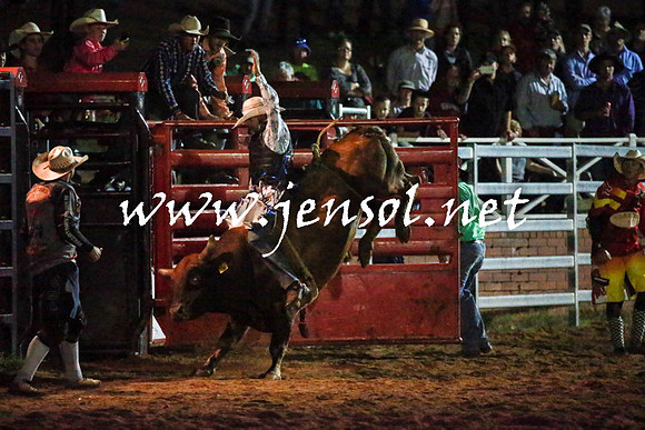 CoomaRodeo2016_3834