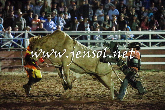 CoomaRodeo2016_3814