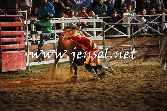 CoomaRodeo2016_3693
