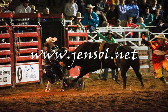 CoomaRodeo2016_3726