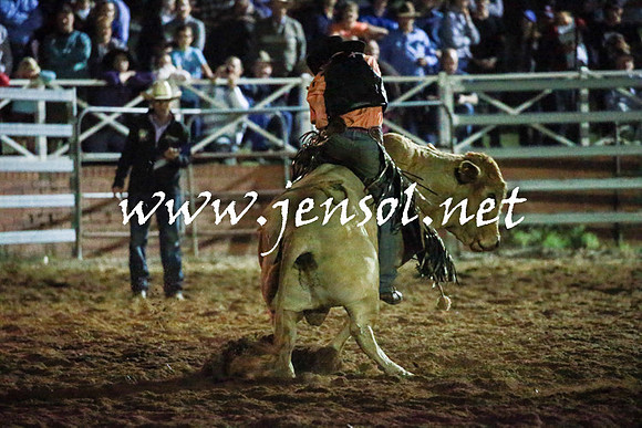 CoomaRodeo2016_3779