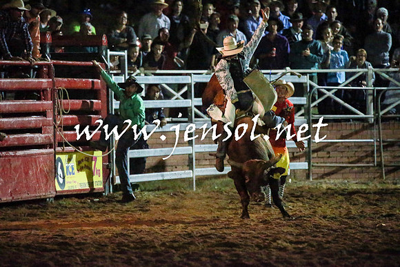 CoomaRodeo2016_3871
