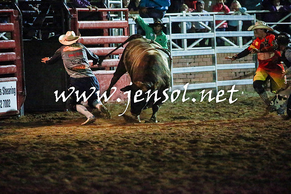 CoomaRodeo2016_3700