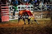 CoomaRodeo2016_3696