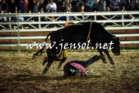 CoomaRodeo2016_3597