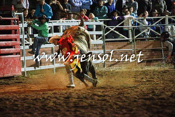 CoomaRodeo2016_3695