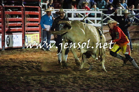 CoomaRodeo2016_3819