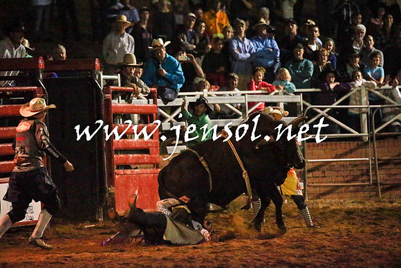 CoomaRodeo2016_3735