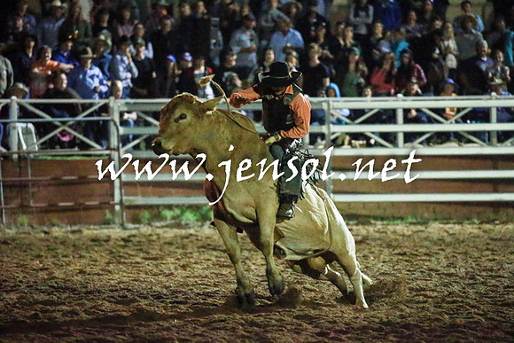 CoomaRodeo2016_3789