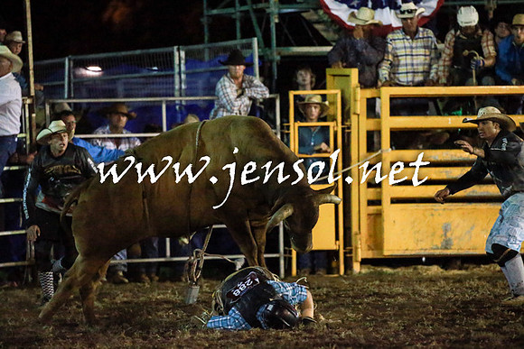 QueanbeyanRodeo2016_2591