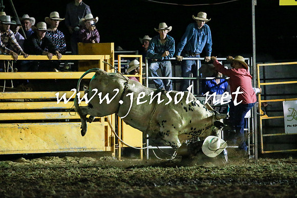QueanbeyanRodeo2016_2413