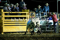 QueanbeyanRodeo2016_2417