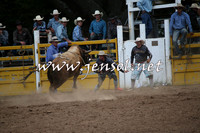 Bull Fighters