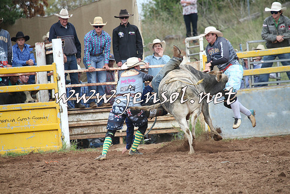 TaralgaRodeo2016_4498