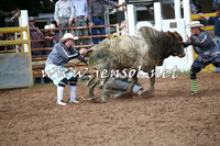 TaralgaRodeo2016_4598