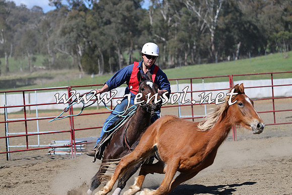 TumbarumbaStockmensChallenge_0547