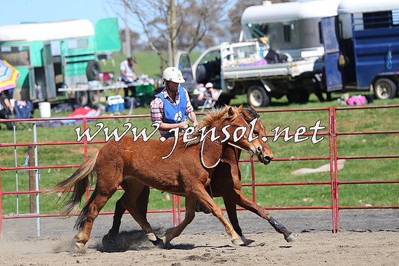 TumbarumbaStockmensChallenge_0367