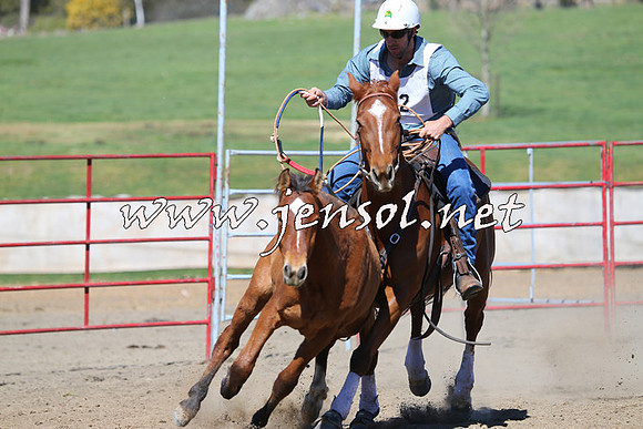 TumbarumbaStockmensChallenge_0454