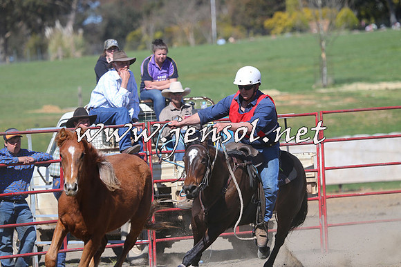 TumbarumbaStockmensChallenge_0555