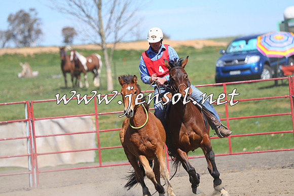 TumbarumbaStockmensChallenge_0351