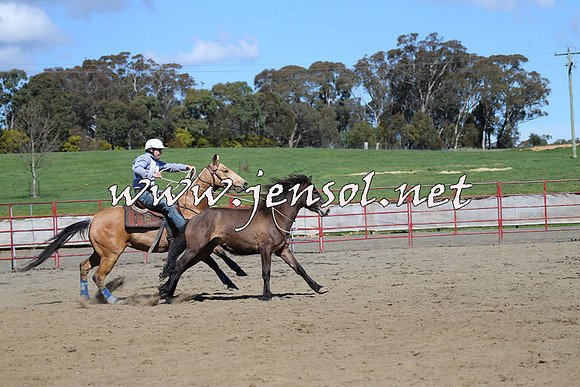 TumbarumbaStockmensChallenge_0517