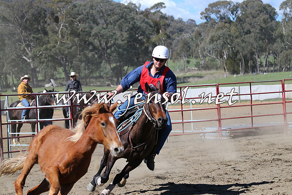 TumbarumbaStockmensChallenge_0552