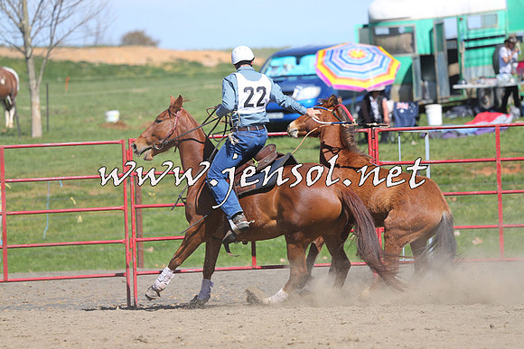 TumbarumbaStockmensChallenge_0421