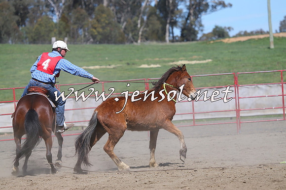 TumbarumbaStockmensChallenge_0353