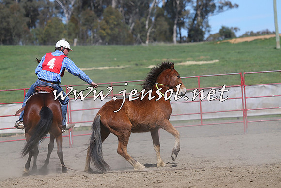 TumbarumbaStockmensChallenge_0352