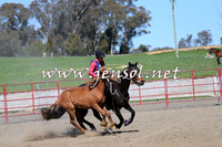 TumbarumbaStockmensChallenge_0244