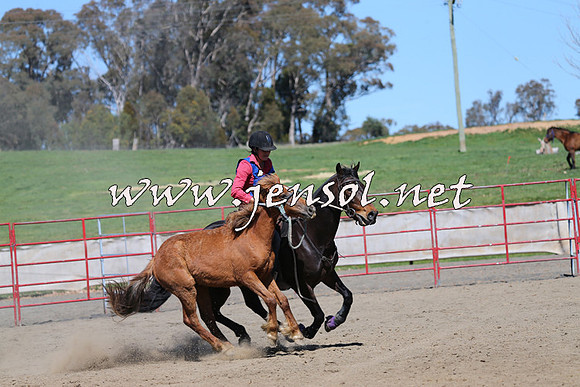 TumbarumbaStockmensChallenge_0244