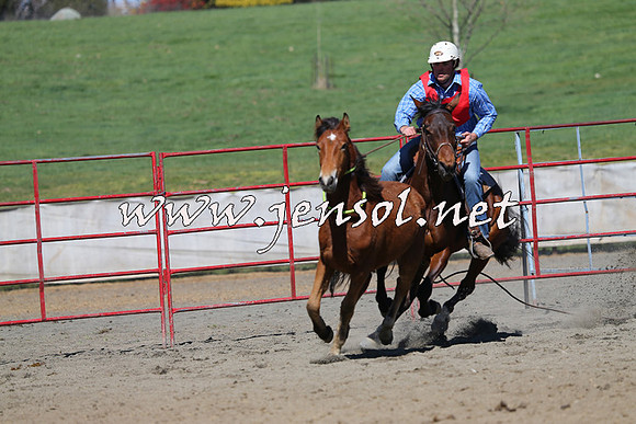 TumbarumbaStockmensChallenge_0343