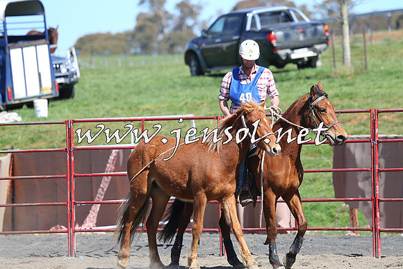 TumbarumbaStockmensChallenge_0401
